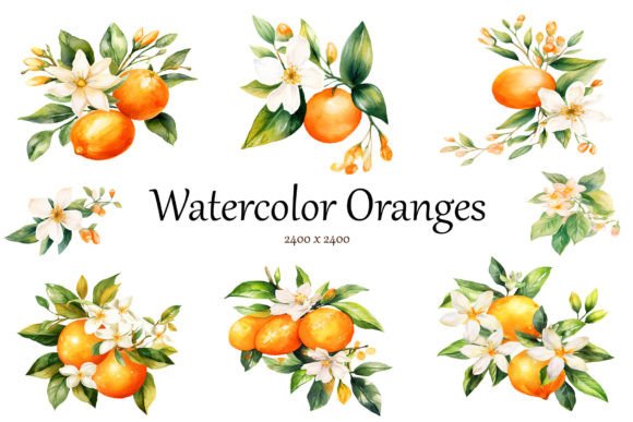 Watercolor Orange Clipart: A Practical Evaluation for Creative Professionals